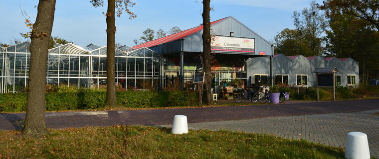 Daat-Drenthe Tuin- & Kringloopwinkel Calendula 